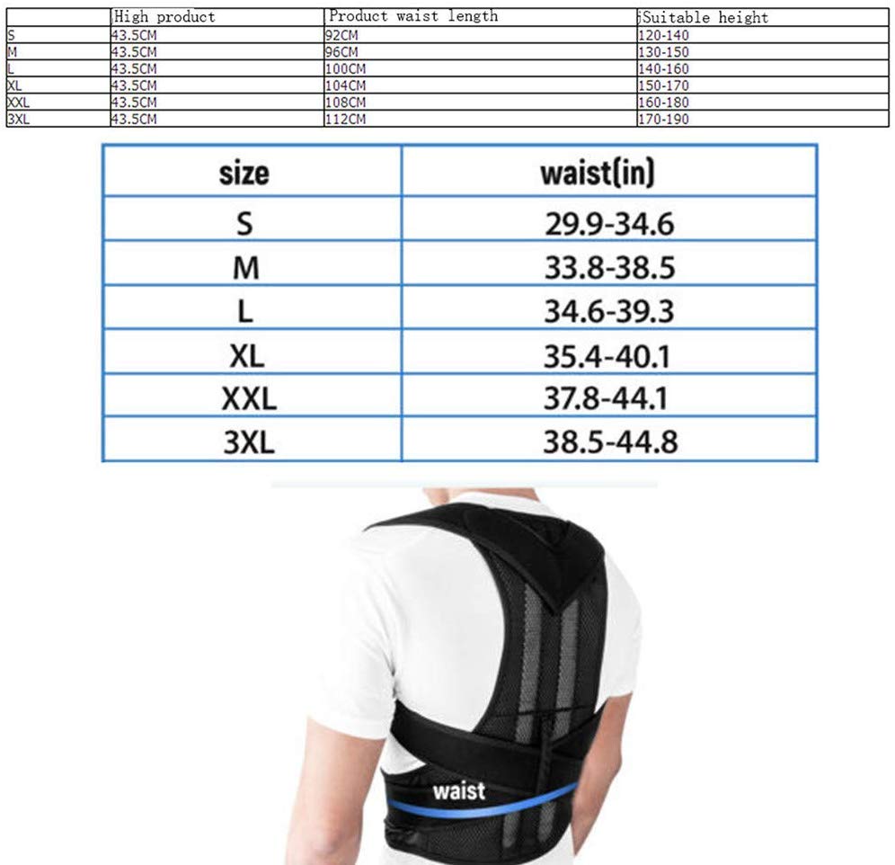 ✅ Adjustable Posture Support Belt